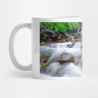 Pitkin Creek Cascade II Mug